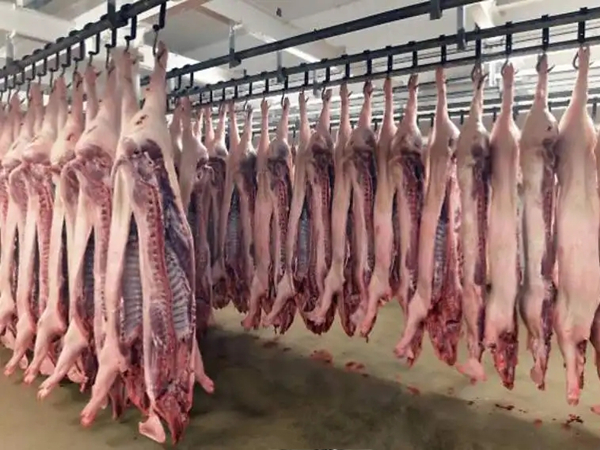 屠宰廠臭氣怎么處理